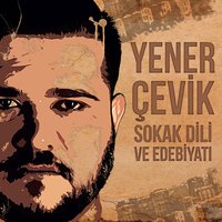 Giriş - Yener Çevik