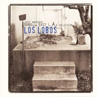 Angels with Dirty Faces - Los Lobos