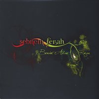 Bazı Aşklar - Şebnem Ferah