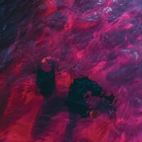 Wild Love - Josh Gauton, Elle Limebear