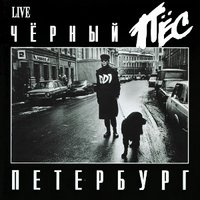 Новые блокадники - ДДТ