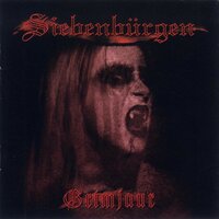 Vintervila - Siebenbürgen