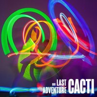 The Best Part - Cacti