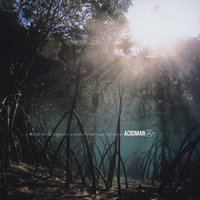 Background - Acidman