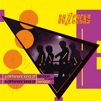 Raison D'Etre - Buzzcocks