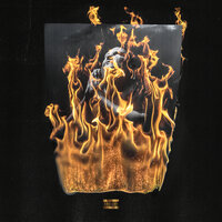 Trapfilm - Bozza