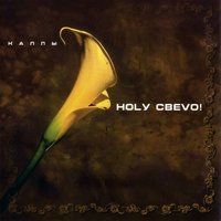 Баба-автомат - Ногу свело!