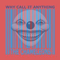 Anyone Alive? - The Chameleons