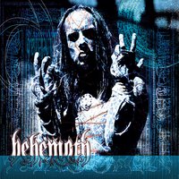 Natural Born Philosopher - Behemoth