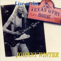 Diving Duck Blues - Johnny Winter