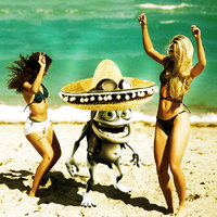 Maya hi maya hu - Crazy Frog