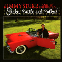 Unchained Melody - Jimmy Sturr, Willie Nelson