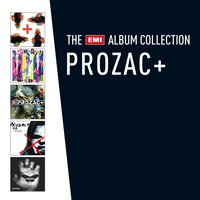 Vorrei - Prozac+