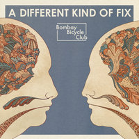 Shuffle - Bombay Bicycle Club