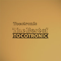 This Boy Is Tocotronic - Tocotronic