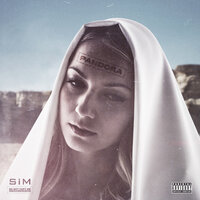 Dubsolution #4 - SiM