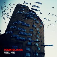 Never Let U Down - Tomato Jaws