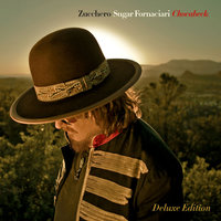 Too Late - Zucchero