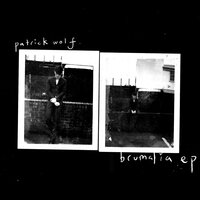 Pelicans - Patrick Wolf