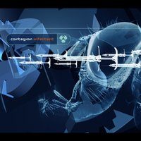 Pain - Contagion