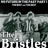 The Bristles