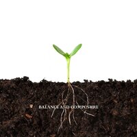 Rope - Balance and Composure