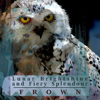 Rusty Flame - Frown