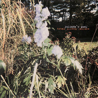 Using You - Juliana Hatfield