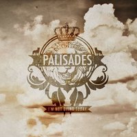 Disclosure - Palisades