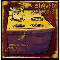 Thinkin bout Cops - Slightly Stoopid