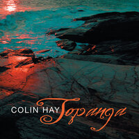 I Haven't Seen You In A Long Time - Colin Hay