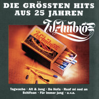Erste große Liebe - Wolfgang Ambros