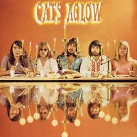 Don't Know Where To Go - The Cats