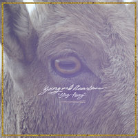 Strange Lows - Young and Heartless