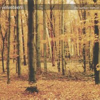 The Secret To It All - Velveteen