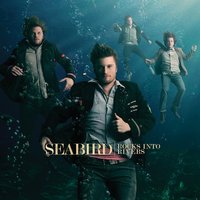 Finally Done Right - Seabird