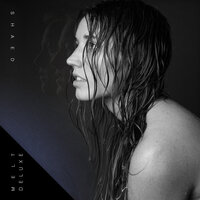 Silver Knife - SHAED