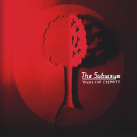 City Pavement - The Subways
