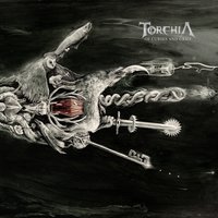 Shame - Torchia
