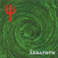 Пока несут сакэ - Аквариум