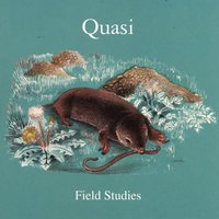 Birds - Quasi