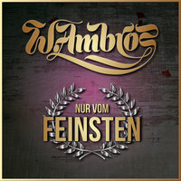 Schifoan - Wolfgang Ambros