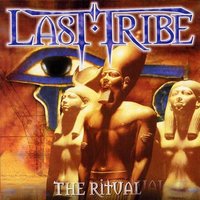 Flying High - Last Tribe
