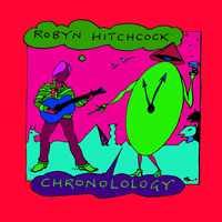 Mr. Kennedy - The Soft Boys