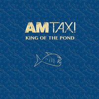 Sorry You're Sick - AM Taxi