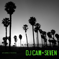 Love - DJ Cam, Nicolette