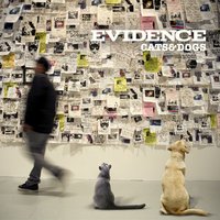 It Wasn't Me - Evidence