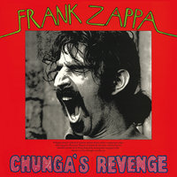 Twenty Small Cigars - Frank Zappa