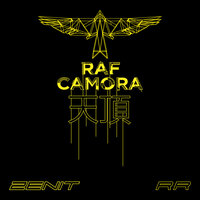 Resumee Risiko - RAF Camora