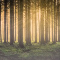 Interconnected - Deep Sleep Music Experience, Rain Sound Studio, Reiki Music